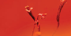 Black Saffron