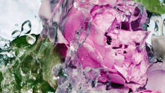 Lost Rose